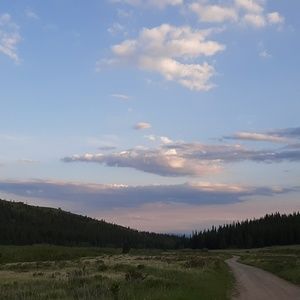 Meet your Posher, Lilly